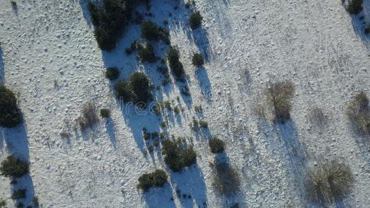 空气的看法关于冬冷冻的森林大量的采用雪