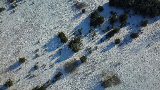 空气的看法关于冬冷冻的森林大量的采用雪