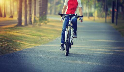 骑自行车的人骑马自行车采用热带的公园