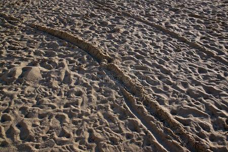 人踩沙向指已提到的人地中海的海海滩采用指已提到的人莫尼