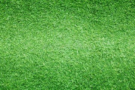 草背景高尔夫球课程绿色的草地