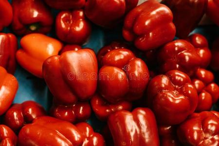 新鲜的红色的甜的红辣椒向指已提到的人农场主交易.饮食的和植物