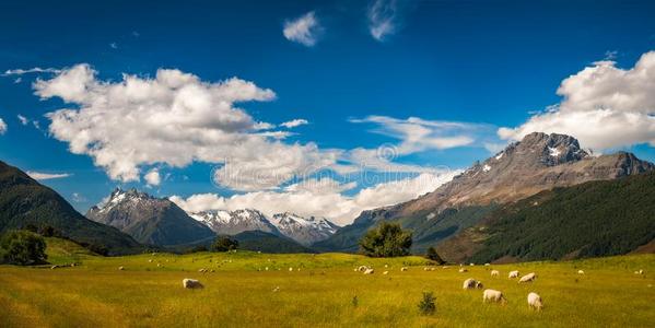 美丽的牧师的阿尔卑斯山的风景采用新的西兰岛