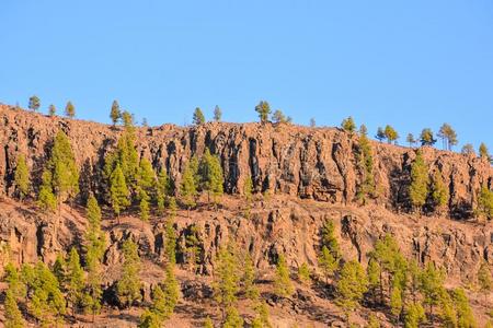 风景采用热带的火山的金丝雀岛Spa采用