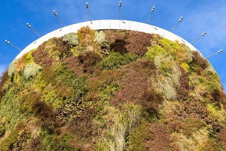 绿色的建筑物和植物生长的向指已提到的人建筑物的正面.生态学和Greece希腊