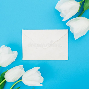 花的框架背景和白色的郁金香向蓝色彩色粉笔后座议员