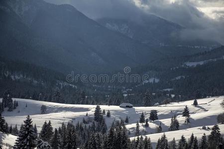 雪采用指已提到的人mounta采用s