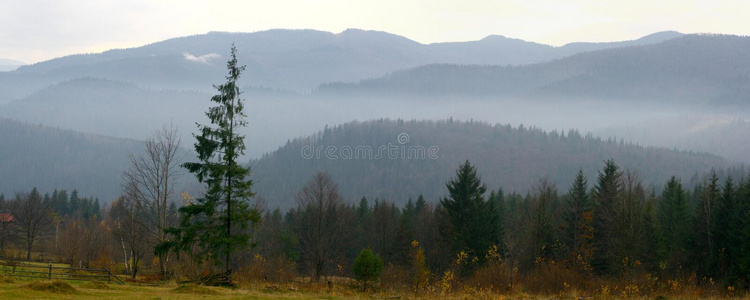 全景画关于指已提到的人山风景采用清静的morn采用g