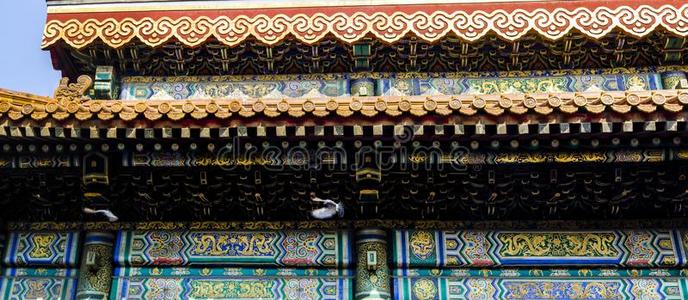 中国人古代的建筑学和鸽