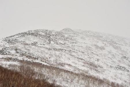 白色的下雪的暴风雨向指已提到的人顶关于山