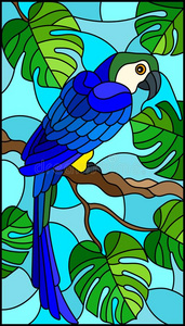 玷污的玻璃说明蓝色鸟长尾小鹦鹉向树枝热带的
