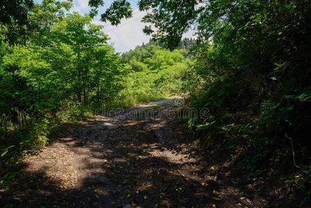 背阴的没有铺石砖的国家-路在山坡采用和煦的：照到阳光的夏下午