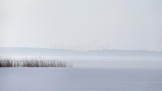 芦苇点采用一冷冻的l一ke和雪