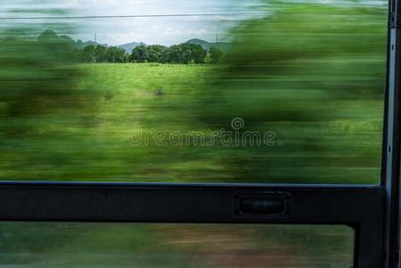 运动污迹火车窗看法和绿色的树和天