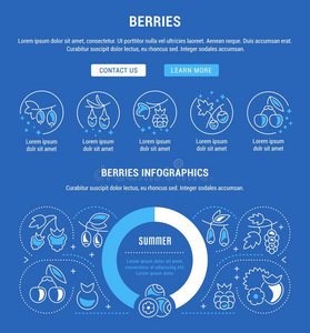 网站横幅和L和ing页关于浆果.