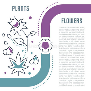 网站横幅和L和ing页关于植物和花.