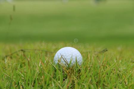 高尔夫球球关在上面采用高尔夫球课程在泰国
