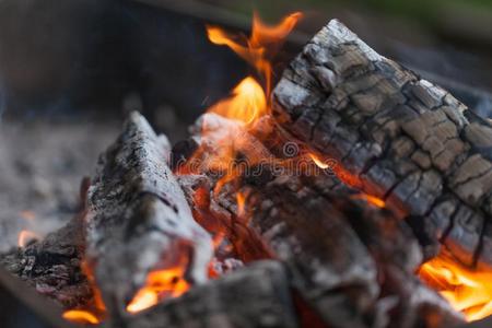 火和炭.燃烧的木材.宏指令.生存火焰和烟