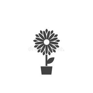 黑的平的偶像关于菊花花采用罐.大的花和英语字母表的第2个字母