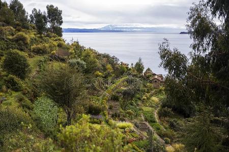 艾拉来源于西班牙语地名微分算子大音阶的第五音向湖的的喀喀湖采用玻利维亚条子毛绒