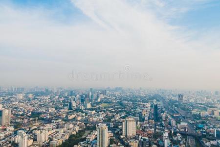 扇形棕榈细纤维城市地平线