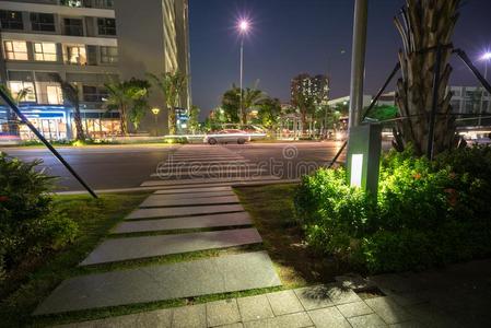 花园灼热的装饰光采用指已提到的人公园在夜.都市的斯特雷