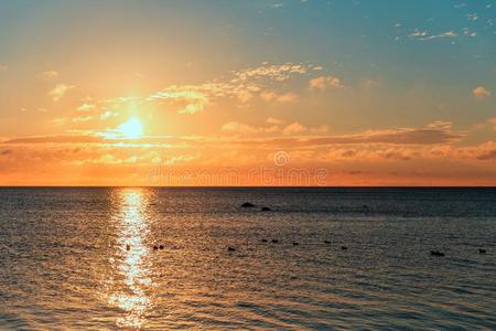 全景画关于美丽的日落向波罗的海的海.