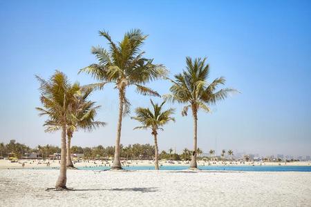 美丽的海滩和椰子手掌树.