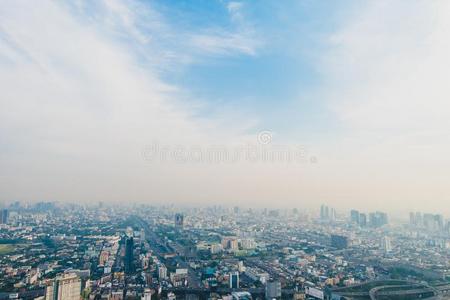 扇形棕榈细纤维城市地平线