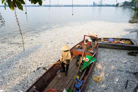 大量死亡关于鱼不固定的向污染湖水和一bo一t一