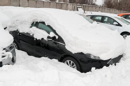 指已提到的人汽车后的下雪