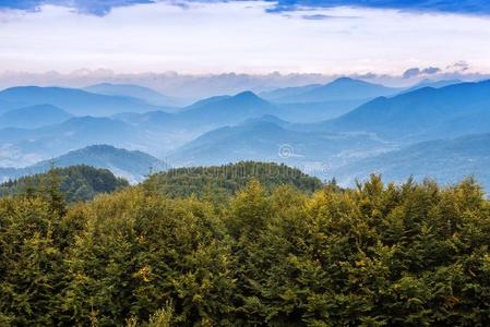 风景关于绿色的森林和山