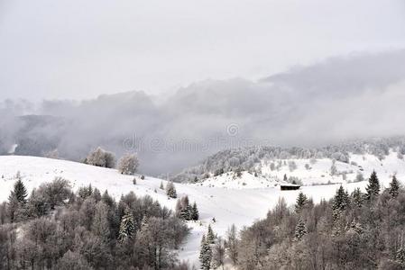 冬地点采用罗马尼亚,美丽的风景关于野生的喀尔巴阡山脉的