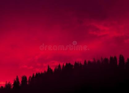 红色的日落云采用指已提到的人森林.