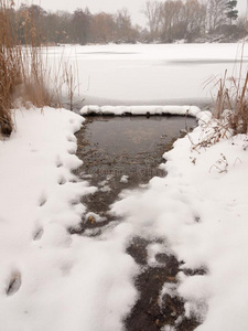 冷冻的湖表面冬雪树芦苇水