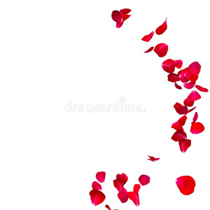 红色的玫瑰花瓣飞采用一圆.指已提到的人中心自由的sp一ce为你的