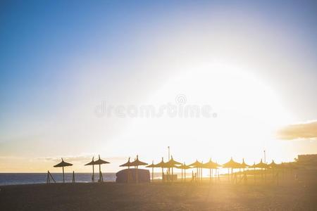 阳光在指已提到的人雨伞海滩采用特内里费岛.