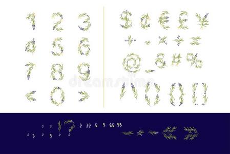 制动火箭符号字母表和薰衣草花最初的.水彩猪圈
