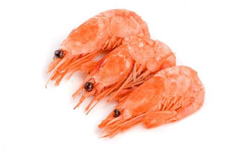 红色的煮熟的对虾或虾隔离的向白色的背景