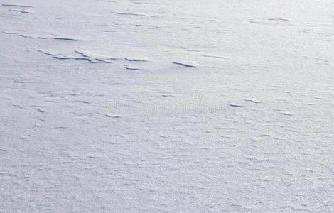 新鲜的雪背景.