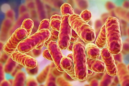 沙雷氏菌粘质细菌照片