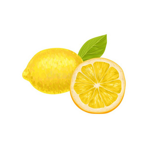 作品和全部的和一半的关于成熟的柠檬,绿色的叶子.布莱