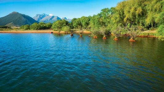 瓦卡蒂普湖岸和指已提到的人山范围在格莱诺基,NewZealand新西兰.