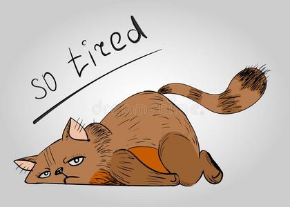 光照海报这样疲倦的猫,猫向指已提到的人floodlight泛光照明0406