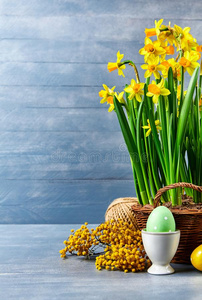 复活节假日卡片和卵黄色的春季花