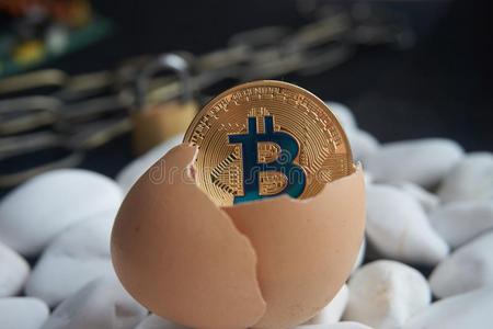金色的点对点基于网络的匿名数字货币硬币采用破碎的蛋壳