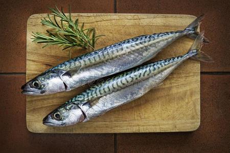 准备鲭鱼鱼鲭准备为餐摄影图