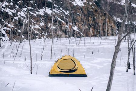 旅行者帐篷经过雪和树反对指已提到的人背景关于岩石