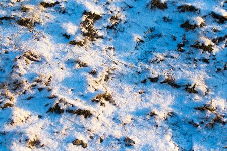 雪向指已提到的人地面采用指已提到的人微量关于指已提到的人日落同样地一b一ck地面