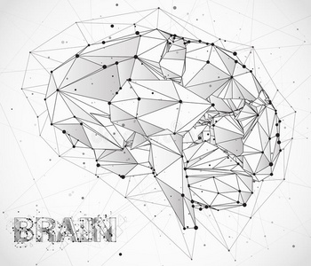num.三-尺寸的矢量计算机的脑.神经的网宏大的-资料英语字母表的第16个字母